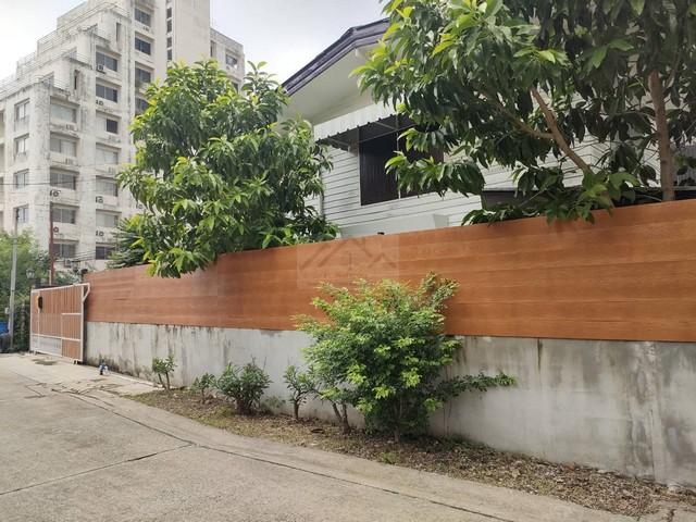 ประกาศฟรี! ซื้อ-ขาย-เช่า คอนโด บ้าน ทาวน์โฮม ที่ดิน และพื้นที่เชิงพาณิชย์ทั่วประเทศไทย ทุกทำเล ทุกงบประมาณ ไม่มีค่าใช้จ่าย ลงง่าย ขายไว เข้าถึงผู้ซื้อโดยตรง 2 529675pic1.jpg