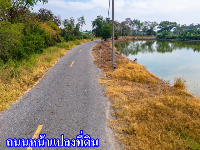 ประกาศฟรี! ซื้อ-ขาย-เช่า คอนโด บ้าน ทาวน์โฮม ที่ดิน และพื้นที่เชิงพาณิชย์ทั่วประเทศไทย ทุกทำเล ทุกงบประมาณ ไม่มีค่าใช้จ่าย ลงง่าย ขายไว เข้าถึงผู้ซื้อโดยตรง 4 243738pic3.jpg