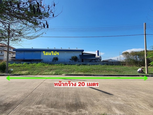 ประกาศฟรี! ซื้อ-ขาย-เช่า คอนโด บ้าน ทาวน์โฮม ที่ดิน และพื้นที่เชิงพาณิชย์ทั่วประเทศไทย ทุกทำเล ทุกงบประมาณ ไม่มีค่าใช้จ่าย ลงง่าย ขายไว เข้าถึงผู้ซื้อโดยตรง 2 324377pic1.jpg