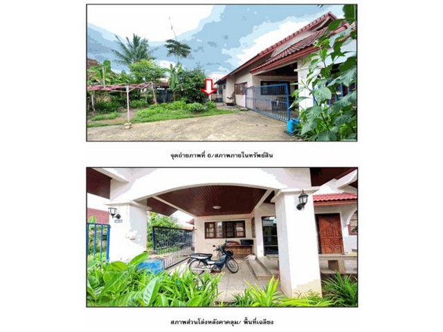 ประกาศฟรี! ซื้อ-ขาย-เช่า คอนโด บ้าน ทาวน์โฮม ที่ดิน และพื้นที่เชิงพาณิชย์ทั่วประเทศไทย ทุกทำเล ทุกงบประมาณ ไม่มีค่าใช้จ่าย ลงง่าย ขายไว เข้าถึงผู้ซื้อโดยตรง 4 166686pic3.jpg