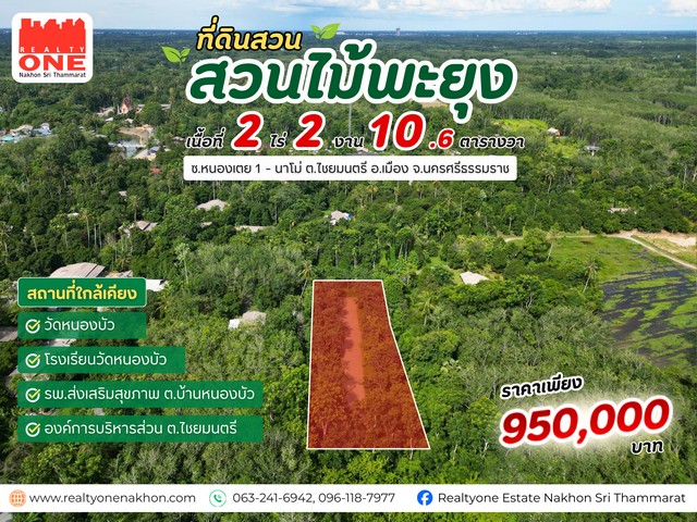 ประกาศฟรี! ซื้อ-ขาย-เช่า คอนโด บ้าน ทาวน์โฮม ที่ดิน และพื้นที่เชิงพาณิชย์ทั่วประเทศไทย ทุกทำเล ทุกงบประมาณ ไม่มีค่าใช้จ่าย ลงง่าย ขายไว เข้าถึงผู้ซื้อโดยตรง 2 324421pic1.jpg