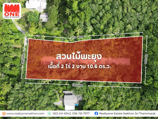 ประกาศฟรี! ซื้อ-ขาย-เช่า คอนโด บ้าน ทาวน์โฮม ที่ดิน และพื้นที่เชิงพาณิชย์ทั่วประเทศไทย ทุกทำเล ทุกงบประมาณ ไม่มีค่าใช้จ่าย ลงง่าย ขายไว เข้าถึงผู้ซื้อโดยตรง 3 324421pic2.jpg