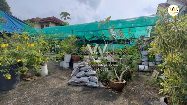 ประกาศฟรี! ซื้อ-ขาย-เช่า คอนโด บ้าน ทาวน์โฮม ที่ดิน และพื้นที่เชิงพาณิชย์ทั่วประเทศไทย ทุกทำเล ทุกงบประมาณ ไม่มีค่าใช้จ่าย ลงง่าย ขายไว เข้าถึงผู้ซื้อโดยตรง 5 289986pic4.jpg
