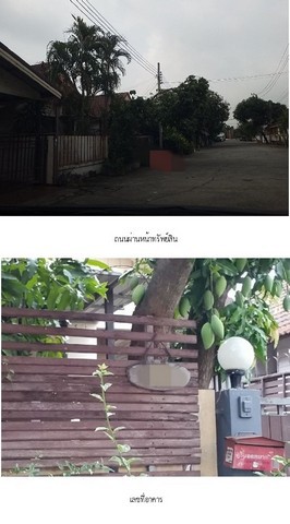 ประกาศฟรี! ซื้อ-ขาย-เช่า คอนโด บ้าน ทาวน์โฮม ที่ดิน และพื้นที่เชิงพาณิชย์ทั่วประเทศไทย ทุกทำเล ทุกงบประมาณ ไม่มีค่าใช้จ่าย ลงง่าย ขายไว เข้าถึงผู้ซื้อโดยตรง 3 280007pic2.jpg