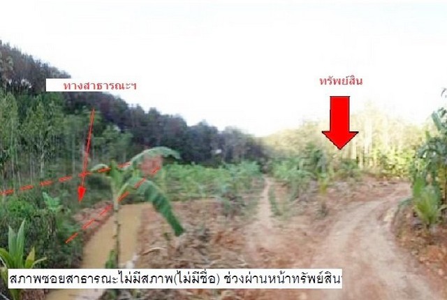 ประกาศฟรี! ซื้อ-ขาย-เช่า คอนโด บ้าน ทาวน์โฮม ที่ดิน และพื้นที่เชิงพาณิชย์ทั่วประเทศไทย ทุกทำเล ทุกงบประมาณ ไม่มีค่าใช้จ่าย ลงง่าย ขายไว เข้าถึงผู้ซื้อโดยตรง 2 207923pic1.jpg