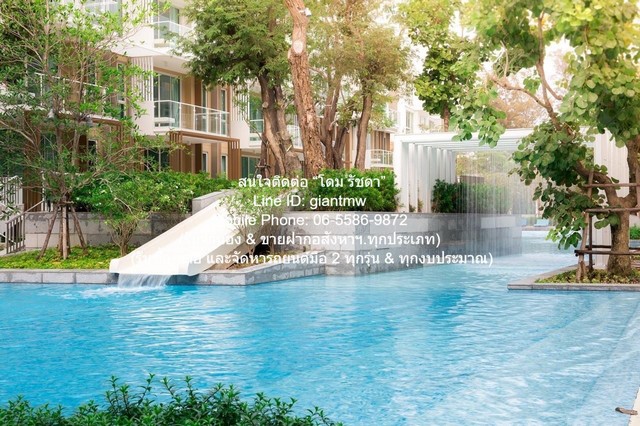 ประกาศฟรี! ซื้อ-ขาย-เช่า คอนโด บ้าน ทาวน์โฮม ที่ดิน และพื้นที่เชิงพาณิชย์ทั่วประเทศไทย ทุกทำเล ทุกงบประมาณ ไม่มีค่าใช้จ่าย ลงง่าย ขายไว เข้าถึงผู้ซื้อโดยตรง 4 308397pic3.jpg