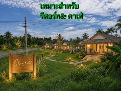 ประกาศฟรี! ซื้อ-ขาย-เช่า คอนโด บ้าน ทาวน์โฮม ที่ดิน และพื้นที่เชิงพาณิชย์ทั่วประเทศไทย ทุกทำเล ทุกงบประมาณ ไม่มีค่าใช้จ่าย ลงง่าย ขายไว เข้าถึงผู้ซื้อโดยตรง 5 324633pic4.jpg