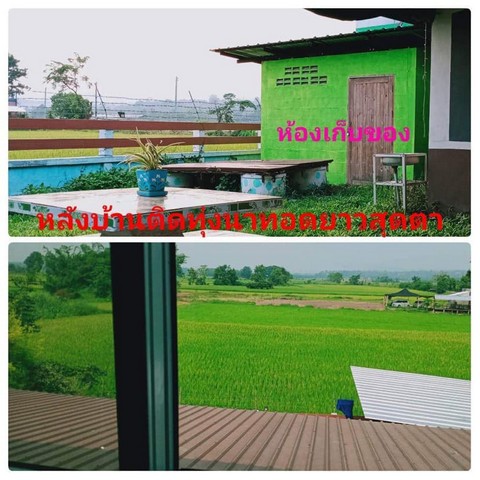 ประกาศฟรี! ซื้อ-ขาย-เช่า คอนโด บ้าน ทาวน์โฮม ที่ดิน และพื้นที่เชิงพาณิชย์ทั่วประเทศไทย ทุกทำเล ทุกงบประมาณ ไม่มีค่าใช้จ่าย ลงง่าย ขายไว เข้าถึงผู้ซื้อโดยตรง 4 281257pic3.jpg