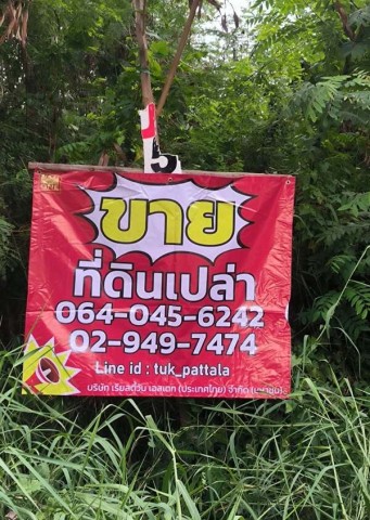 ประกาศฟรี! ซื้อ-ขาย-เช่า คอนโด บ้าน ทาวน์โฮม ที่ดิน และพื้นที่เชิงพาณิชย์ทั่วประเทศไทย ทุกทำเล ทุกงบประมาณ ไม่มีค่าใช้จ่าย ลงง่าย ขายไว เข้าถึงผู้ซื้อโดยตรง 4 529033pic3.jpg