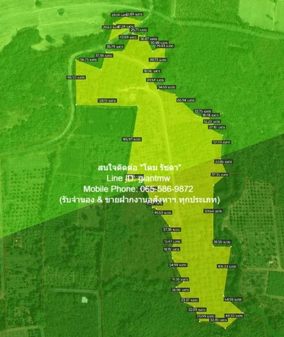 ประกาศฟรี! ซื้อ-ขาย-เช่า คอนโด บ้าน ทาวน์โฮม ที่ดิน และพื้นที่เชิงพาณิชย์ทั่วประเทศไทย ทุกทำเล ทุกงบประมาณ ไม่มีค่าใช้จ่าย ลงง่าย ขายไว เข้าถึงผู้ซื้อโดยตรง 2 17544pic1.jpg