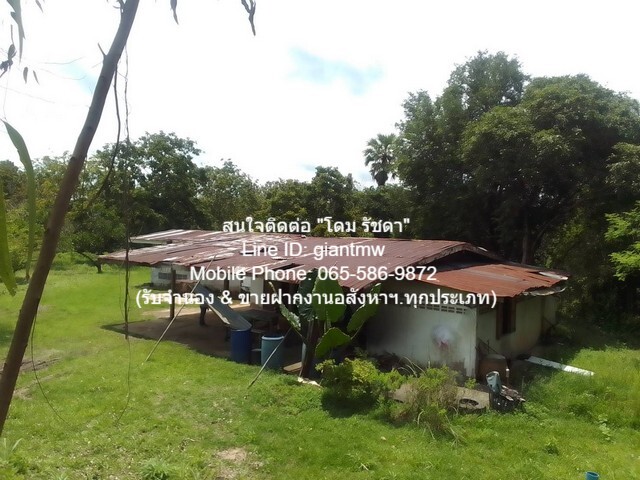 ประกาศฟรี! ซื้อ-ขาย-เช่า คอนโด บ้าน ทาวน์โฮม ที่ดิน และพื้นที่เชิงพาณิชย์ทั่วประเทศไทย ทุกทำเล ทุกงบประมาณ ไม่มีค่าใช้จ่าย ลงง่าย ขายไว เข้าถึงผู้ซื้อโดยตรง 4 17544pic3.jpg