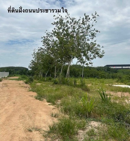 ประกาศฟรี! ซื้อ-ขาย-เช่า คอนโด บ้าน ทาวน์โฮม ที่ดิน และพื้นที่เชิงพาณิชย์ทั่วประเทศไทย ทุกทำเล ทุกงบประมาณ ไม่มีค่าใช้จ่าย ลงง่าย ขายไว เข้าถึงผู้ซื้อโดยตรง 4 295922pic3.jpg