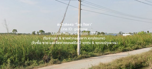 ประกาศฟรี! ซื้อ-ขาย-เช่า คอนโด บ้าน ทาวน์โฮม ที่ดิน และพื้นที่เชิงพาณิชย์ทั่วประเทศไทย ทุกทำเล ทุกงบประมาณ ไม่มีค่าใช้จ่าย ลงง่าย ขายไว เข้าถึงผู้ซื้อโดยตรง 5 297268pic4.jpg