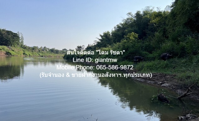 ประกาศฟรี! ซื้อ-ขาย-เช่า คอนโด บ้าน ทาวน์โฮม ที่ดิน และพื้นที่เชิงพาณิชย์ทั่วประเทศไทย ทุกทำเล ทุกงบประมาณ ไม่มีค่าใช้จ่าย ลงง่าย ขายไว เข้าถึงผู้ซื้อโดยตรง 3 21655pic2.jpg