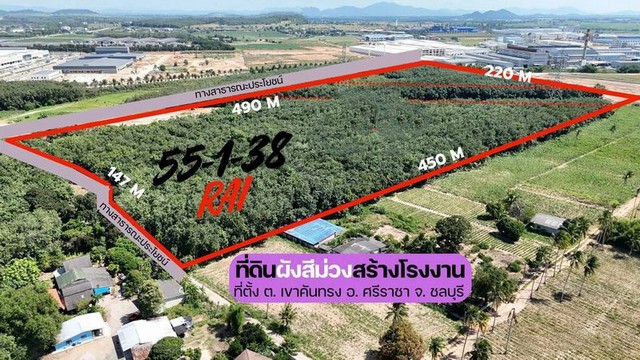 ประกาศฟรี! ซื้อ-ขาย-เช่า คอนโด บ้าน ทาวน์โฮม ที่ดิน และพื้นที่เชิงพาณิชย์ทั่วประเทศไทย ทุกทำเล ทุกงบประมาณ ไม่มีค่าใช้จ่าย ลงง่าย ขายไว เข้าถึงผู้ซื้อโดยตรง 2 309884pic1.jpg