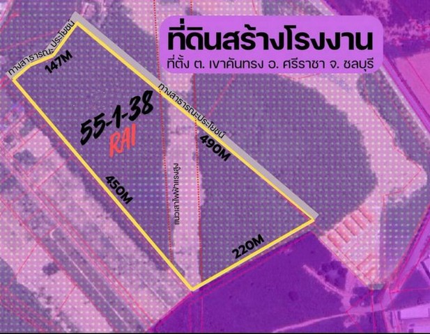 ประกาศฟรี! ซื้อ-ขาย-เช่า คอนโด บ้าน ทาวน์โฮม ที่ดิน และพื้นที่เชิงพาณิชย์ทั่วประเทศไทย ทุกทำเล ทุกงบประมาณ ไม่มีค่าใช้จ่าย ลงง่าย ขายไว เข้าถึงผู้ซื้อโดยตรง 3 309884pic2.jpg
