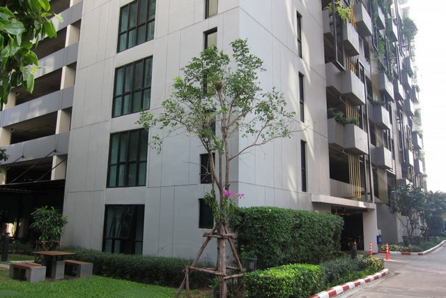 ประกาศฟรี! ซื้อ-ขาย-เช่า คอนโด บ้าน ทาวน์โฮม ที่ดิน และพื้นที่เชิงพาณิชย์ทั่วประเทศไทย ทุกทำเล ทุกงบประมาณ ไม่มีค่าใช้จ่าย ลงง่าย ขายไว เข้าถึงผู้ซื้อโดยตรง 3 282460pic2.jpg