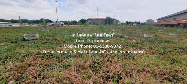 ประกาศฟรี! ซื้อ-ขาย-เช่า คอนโด บ้าน ทาวน์โฮม ที่ดิน และพื้นที่เชิงพาณิชย์ทั่วประเทศไทย ทุกทำเล ทุกงบประมาณ ไม่มีค่าใช้จ่าย ลงง่าย ขายไว เข้าถึงผู้ซื้อโดยตรง 3 325167pic2.jpg