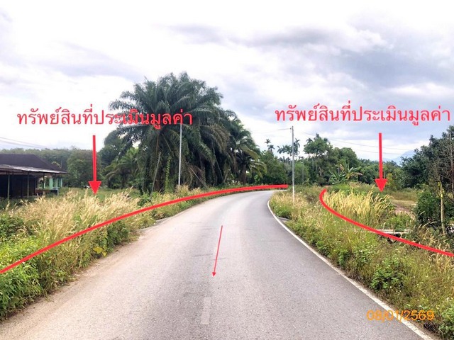 ประกาศฟรี! ซื้อ-ขาย-เช่า คอนโด บ้าน ทาวน์โฮม ที่ดิน และพื้นที่เชิงพาณิชย์ทั่วประเทศไทย ทุกทำเล ทุกงบประมาณ ไม่มีค่าใช้จ่าย ลงง่าย ขายไว เข้าถึงผู้ซื้อโดยตรง 2 281251pic1.jpg