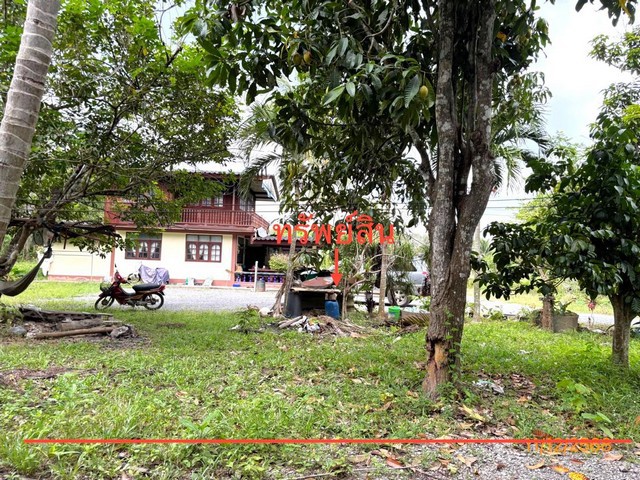 ประกาศฟรี! ซื้อ-ขาย-เช่า คอนโด บ้าน ทาวน์โฮม ที่ดิน และพื้นที่เชิงพาณิชย์ทั่วประเทศไทย ทุกทำเล ทุกงบประมาณ ไม่มีค่าใช้จ่าย ลงง่าย ขายไว เข้าถึงผู้ซื้อโดยตรง 5 281248pic4.jpg