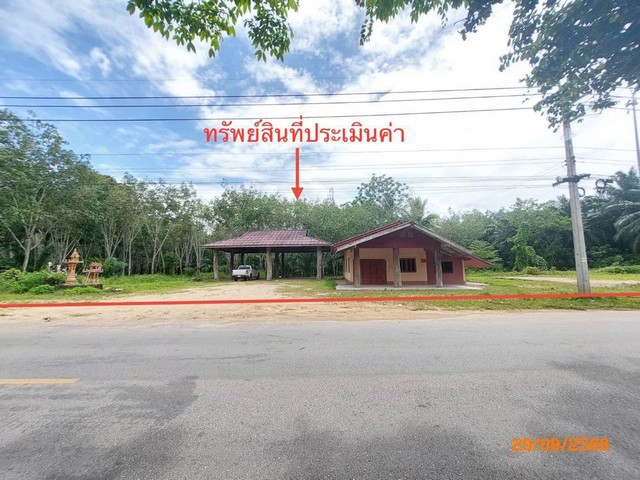 ประกาศฟรี! ซื้อ-ขาย-เช่า คอนโด บ้าน ทาวน์โฮม ที่ดิน และพื้นที่เชิงพาณิชย์ทั่วประเทศไทย ทุกทำเล ทุกงบประมาณ ไม่มีค่าใช้จ่าย ลงง่าย ขายไว เข้าถึงผู้ซื้อโดยตรง 2 280973pic1.jpg