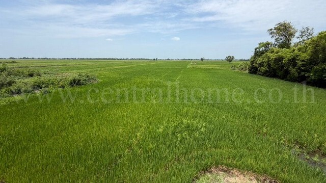 ประกาศฟรี! ซื้อ-ขาย-เช่า คอนโด บ้าน ทาวน์โฮม ที่ดิน และพื้นที่เชิงพาณิชย์ทั่วประเทศไทย ทุกทำเล ทุกงบประมาณ ไม่มีค่าใช้จ่าย ลงง่าย ขายไว เข้าถึงผู้ซื้อโดยตรง 4 296130pic3.jpg