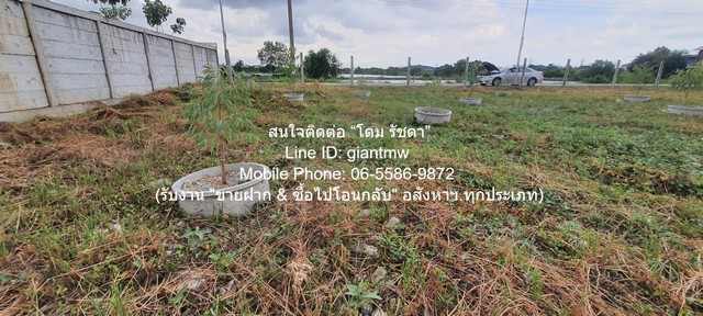 ประกาศฟรี! ซื้อ-ขาย-เช่า คอนโด บ้าน ทาวน์โฮม ที่ดิน และพื้นที่เชิงพาณิชย์ทั่วประเทศไทย ทุกทำเล ทุกงบประมาณ ไม่มีค่าใช้จ่าย ลงง่าย ขายไว เข้าถึงผู้ซื้อโดยตรง 4 325167pic3.jpg
