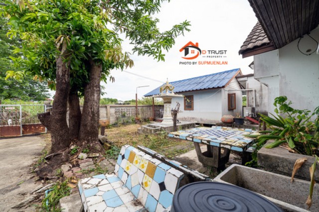 ประกาศฟรี! ซื้อ-ขาย-เช่า คอนโด บ้าน ทาวน์โฮม ที่ดิน และพื้นที่เชิงพาณิชย์ทั่วประเทศไทย ทุกทำเล ทุกงบประมาณ ไม่มีค่าใช้จ่าย ลงง่าย ขายไว เข้าถึงผู้ซื้อโดยตรง 5 532928pic4.jpg
