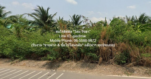 ประกาศฟรี! ซื้อ-ขาย-เช่า คอนโด บ้าน ทาวน์โฮม ที่ดิน และพื้นที่เชิงพาณิชย์ทั่วประเทศไทย ทุกทำเล ทุกงบประมาณ ไม่มีค่าใช้จ่าย ลงง่าย ขายไว เข้าถึงผู้ซื้อโดยตรง 2 324759pic1.jpg