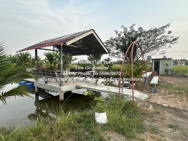ประกาศฟรี! ซื้อ-ขาย-เช่า คอนโด บ้าน ทาวน์โฮม ที่ดิน และพื้นที่เชิงพาณิชย์ทั่วประเทศไทย ทุกทำเล ทุกงบประมาณ ไม่มีค่าใช้จ่าย ลงง่าย ขายไว เข้าถึงผู้ซื้อโดยตรง 4 321266pic3.jpg