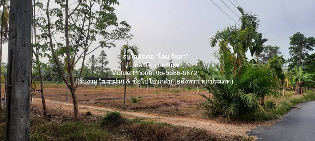 ประกาศฟรี! ซื้อ-ขาย-เช่า คอนโด บ้าน ทาวน์โฮม ที่ดิน และพื้นที่เชิงพาณิชย์ทั่วประเทศไทย ทุกทำเล ทุกงบประมาณ ไม่มีค่าใช้จ่าย ลงง่าย ขายไว เข้าถึงผู้ซื้อโดยตรง 4 320015pic3.jpg
