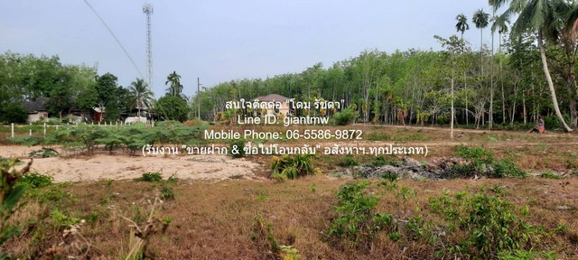 ประกาศฟรี! ซื้อ-ขาย-เช่า คอนโด บ้าน ทาวน์โฮม ที่ดิน และพื้นที่เชิงพาณิชย์ทั่วประเทศไทย ทุกทำเล ทุกงบประมาณ ไม่มีค่าใช้จ่าย ลงง่าย ขายไว เข้าถึงผู้ซื้อโดยตรง 5 320015pic4.jpg