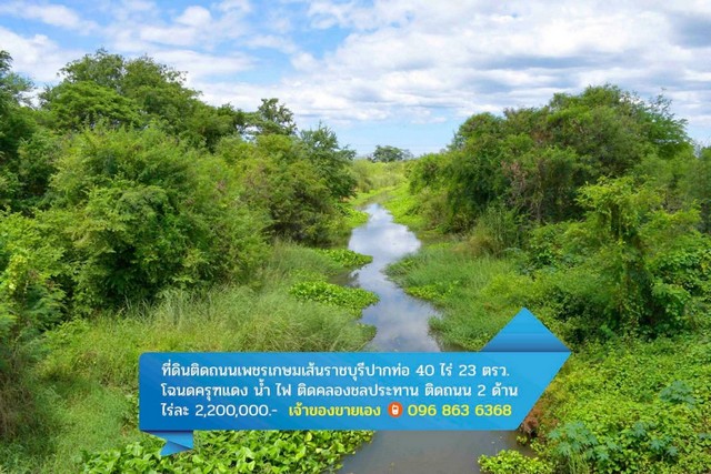 ประกาศฟรี! ซื้อ-ขาย-เช่า คอนโด บ้าน ทาวน์โฮม ที่ดิน และพื้นที่เชิงพาณิชย์ทั่วประเทศไทย ทุกทำเล ทุกงบประมาณ ไม่มีค่าใช้จ่าย ลงง่าย ขายไว เข้าถึงผู้ซื้อโดยตรง 4 284638pic3.jpg
