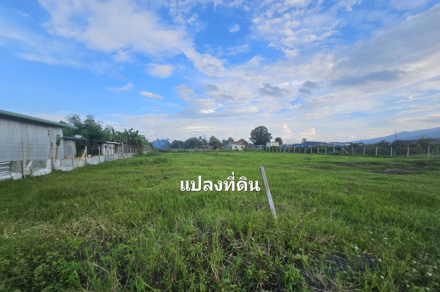 ประกาศฟรี! ซื้อ-ขาย-เช่า คอนโด บ้าน ทาวน์โฮม ที่ดิน และพื้นที่เชิงพาณิชย์ทั่วประเทศไทย ทุกทำเล ทุกงบประมาณ ไม่มีค่าใช้จ่าย ลงง่าย ขายไว เข้าถึงผู้ซื้อโดยตรง 2 325151pic1.jpg