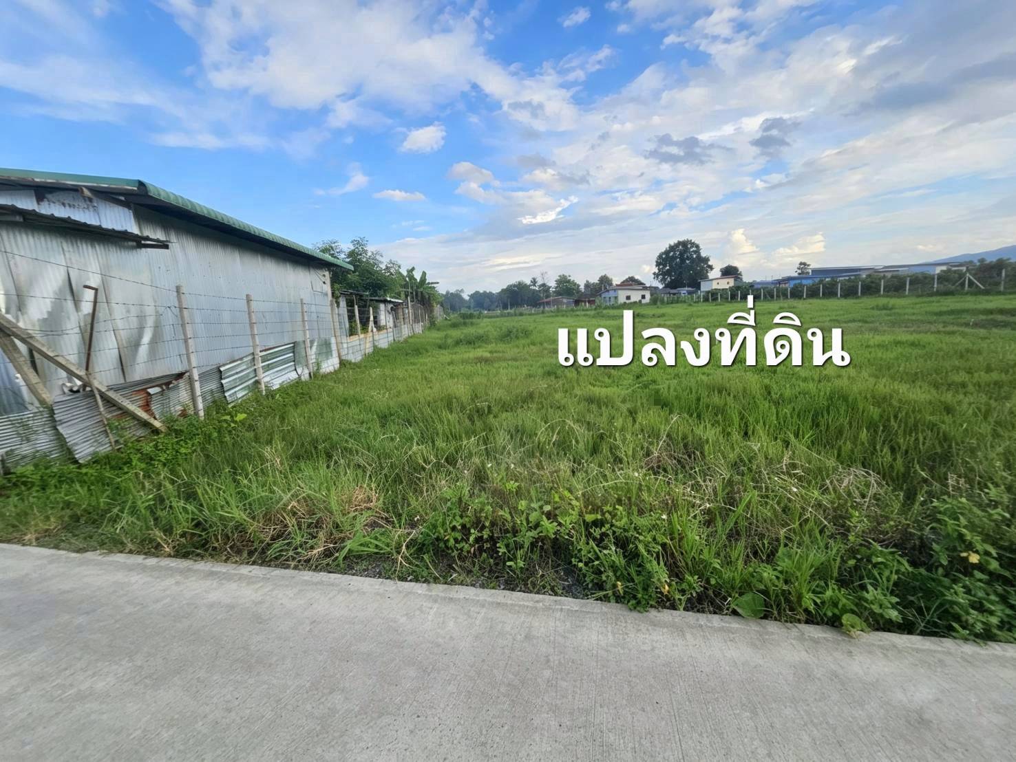 ประกาศฟรี! ซื้อ-ขาย-เช่า คอนโด บ้าน ทาวน์โฮม ที่ดิน และพื้นที่เชิงพาณิชย์ทั่วประเทศไทย ทุกทำเล ทุกงบประมาณ ไม่มีค่าใช้จ่าย ลงง่าย ขายไว เข้าถึงผู้ซื้อโดยตรง 3 325151pic2.jpg
