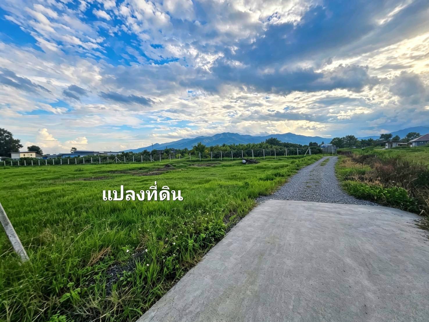 ประกาศฟรี! ซื้อ-ขาย-เช่า คอนโด บ้าน ทาวน์โฮม ที่ดิน และพื้นที่เชิงพาณิชย์ทั่วประเทศไทย ทุกทำเล ทุกงบประมาณ ไม่มีค่าใช้จ่าย ลงง่าย ขายไว เข้าถึงผู้ซื้อโดยตรง 4 325151pic3.jpg