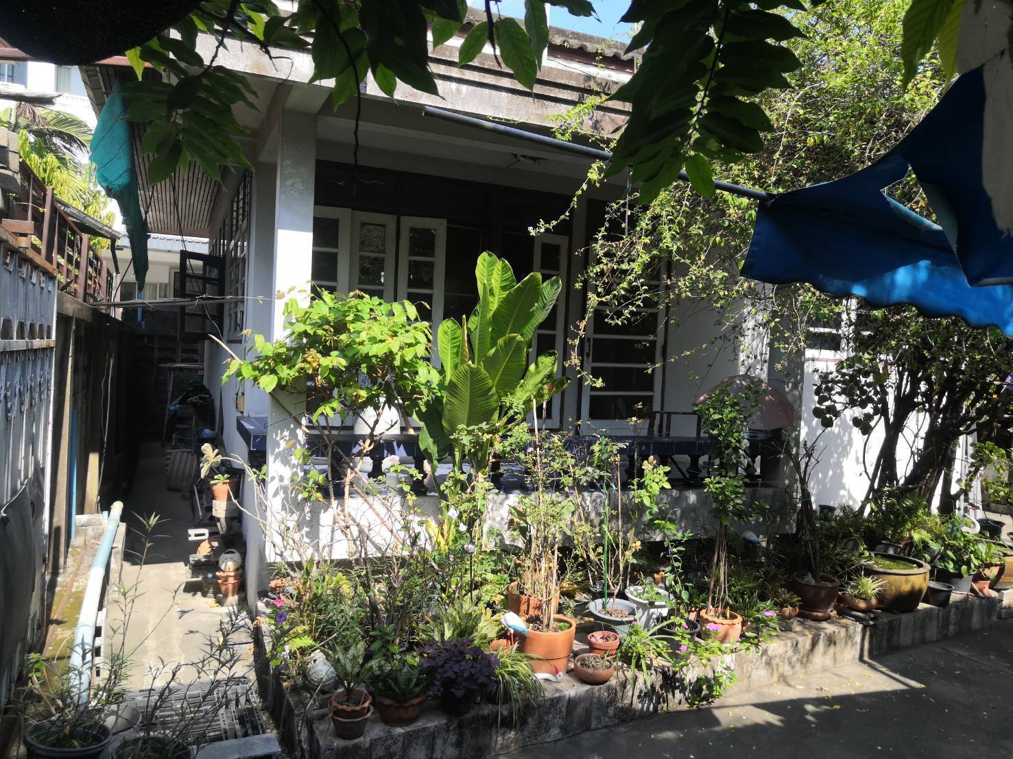 ประกาศฟรี! ซื้อ-ขาย-เช่า คอนโด บ้าน ทาวน์โฮม ที่ดิน และพื้นที่เชิงพาณิชย์ทั่วประเทศไทย ทุกทำเล ทุกงบประมาณ ไม่มีค่าใช้จ่าย ลงง่าย ขายไว เข้าถึงผู้ซื้อโดยตรง 3 325322pic2.jpg