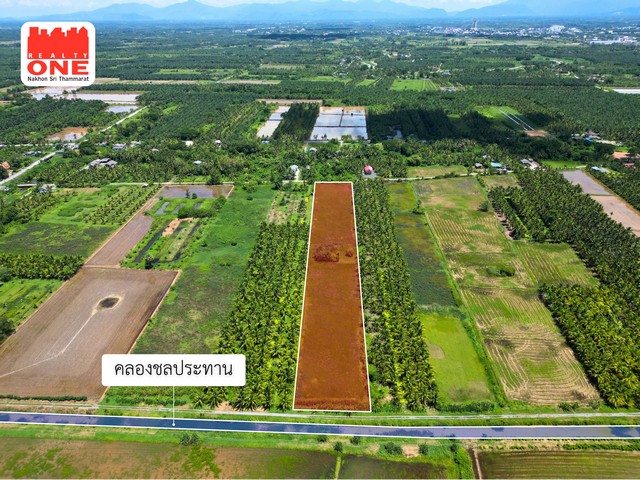 ประกาศฟรี! ซื้อ-ขาย-เช่า คอนโด บ้าน ทาวน์โฮม ที่ดิน และพื้นที่เชิงพาณิชย์ทั่วประเทศไทย ทุกทำเล ทุกงบประมาณ ไม่มีค่าใช้จ่าย ลงง่าย ขายไว เข้าถึงผู้ซื้อโดยตรง 5 325798pic4.jpg