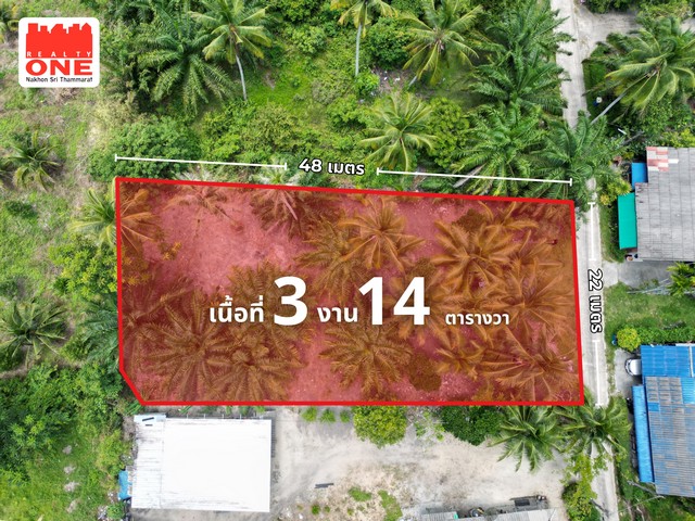 ประกาศฟรี! ซื้อ-ขาย-เช่า คอนโด บ้าน ทาวน์โฮม ที่ดิน และพื้นที่เชิงพาณิชย์ทั่วประเทศไทย ทุกทำเล ทุกงบประมาณ ไม่มีค่าใช้จ่าย ลงง่าย ขายไว เข้าถึงผู้ซื้อโดยตรง 3 325924pic2.jpg