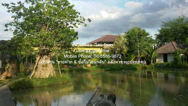 ประกาศฟรี! ซื้อ-ขาย-เช่า คอนโด บ้าน ทาวน์โฮม ที่ดิน และพื้นที่เชิงพาณิชย์ทั่วประเทศไทย ทุกทำเล ทุกงบประมาณ ไม่มีค่าใช้จ่าย ลงง่าย ขายไว เข้าถึงผู้ซื้อโดยตรง 4 313965pic3.jpg
