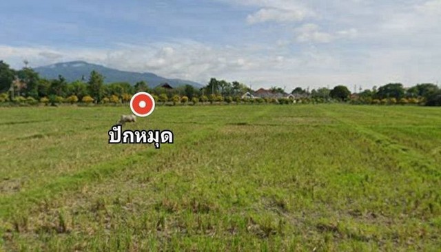 ประกาศฟรี! ซื้อ-ขาย-เช่า คอนโด บ้าน ทาวน์โฮม ที่ดิน และพื้นที่เชิงพาณิชย์ทั่วประเทศไทย ทุกทำเล ทุกงบประมาณ ไม่มีค่าใช้จ่าย ลงง่าย ขายไว เข้าถึงผู้ซื้อโดยตรง 3 286821pic2.jpg