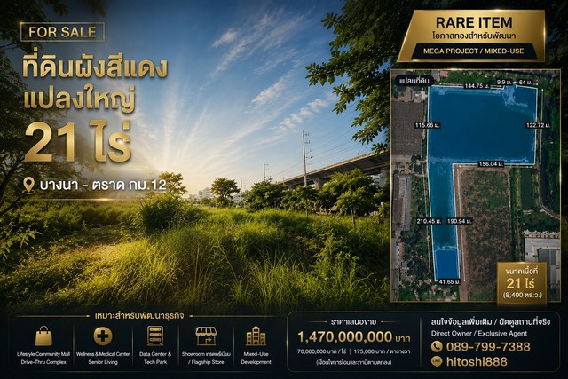 ประกาศฟรี! ซื้อ-ขาย-เช่า คอนโด บ้าน ทาวน์โฮม ที่ดิน และพื้นที่เชิงพาณิชย์ทั่วประเทศไทย ทุกทำเล ทุกงบประมาณ ไม่มีค่าใช้จ่าย ลงง่าย ขายไว เข้าถึงผู้ซื้อโดยตรง 2 326179pic1.jpg