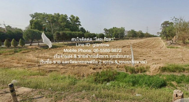 ประกาศฟรี! ซื้อ-ขาย-เช่า คอนโด บ้าน ทาวน์โฮม ที่ดิน และพื้นที่เชิงพาณิชย์ทั่วประเทศไทย ทุกทำเล ทุกงบประมาณ ไม่มีค่าใช้จ่าย ลงง่าย ขายไว เข้าถึงผู้ซื้อโดยตรง 5 301871pic4.jpg
