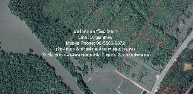 ประกาศฟรี! ซื้อ-ขาย-เช่า คอนโด บ้าน ทาวน์โฮม ที่ดิน และพื้นที่เชิงพาณิชย์ทั่วประเทศไทย ทุกทำเล ทุกงบประมาณ ไม่มีค่าใช้จ่าย ลงง่าย ขายไว เข้าถึงผู้ซื้อโดยตรง 5 301291pic4.jpg