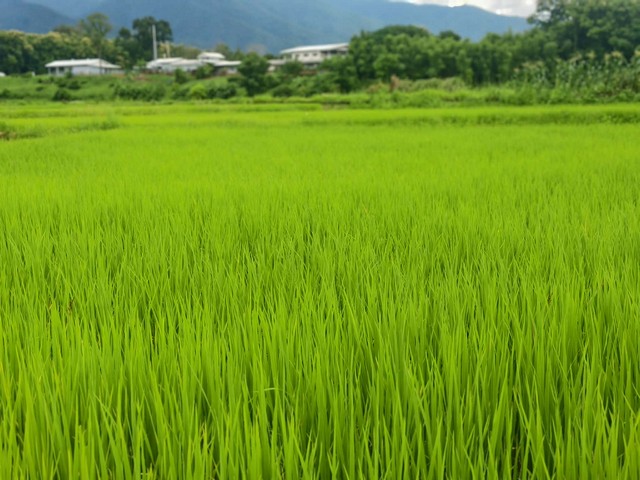 ประกาศฟรี! ซื้อ-ขาย-เช่า คอนโด บ้าน ทาวน์โฮม ที่ดิน และพื้นที่เชิงพาณิชย์ทั่วประเทศไทย ทุกทำเล ทุกงบประมาณ ไม่มีค่าใช้จ่าย ลงง่าย ขายไว เข้าถึงผู้ซื้อโดยตรง 4 287080pic3.jpg