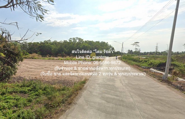 ประกาศฟรี! ซื้อ-ขาย-เช่า คอนโด บ้าน ทาวน์โฮม ที่ดิน และพื้นที่เชิงพาณิชย์ทั่วประเทศไทย ทุกทำเล ทุกงบประมาณ ไม่มีค่าใช้จ่าย ลงง่าย ขายไว เข้าถึงผู้ซื้อโดยตรง 4 297216pic3.jpg