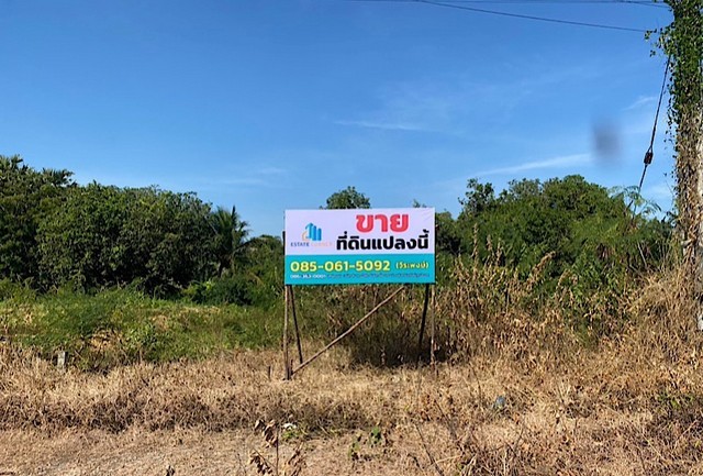 ประกาศฟรี! ซื้อ-ขาย-เช่า คอนโด บ้าน ทาวน์โฮม ที่ดิน และพื้นที่เชิงพาณิชย์ทั่วประเทศไทย ทุกทำเล ทุกงบประมาณ ไม่มีค่าใช้จ่าย ลงง่าย ขายไว เข้าถึงผู้ซื้อโดยตรง 5 296578pic4.jpg