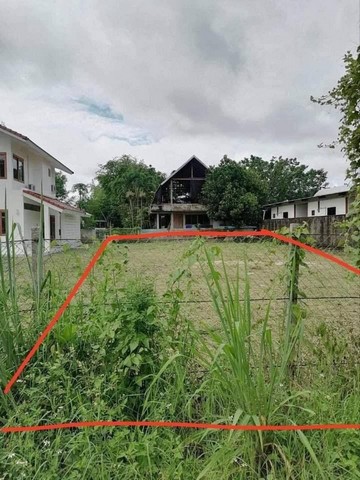 ประกาศฟรี! ซื้อ-ขาย-เช่า คอนโด บ้าน ทาวน์โฮม ที่ดิน และพื้นที่เชิงพาณิชย์ทั่วประเทศไทย ทุกทำเล ทุกงบประมาณ ไม่มีค่าใช้จ่าย ลงง่าย ขายไว เข้าถึงผู้ซื้อโดยตรง 2 168054pic1.jpg