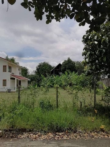 ประกาศฟรี! ซื้อ-ขาย-เช่า คอนโด บ้าน ทาวน์โฮม ที่ดิน และพื้นที่เชิงพาณิชย์ทั่วประเทศไทย ทุกทำเล ทุกงบประมาณ ไม่มีค่าใช้จ่าย ลงง่าย ขายไว เข้าถึงผู้ซื้อโดยตรง 4 168054pic3.jpg