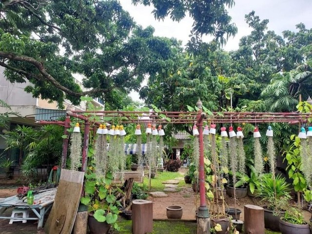 ประกาศฟรี! ซื้อ-ขาย-เช่า คอนโด บ้าน ทาวน์โฮม ที่ดิน และพื้นที่เชิงพาณิชย์ทั่วประเทศไทย ทุกทำเล ทุกงบประมาณ ไม่มีค่าใช้จ่าย ลงง่าย ขายไว เข้าถึงผู้ซื้อโดยตรง 2 168053pic1.jpg